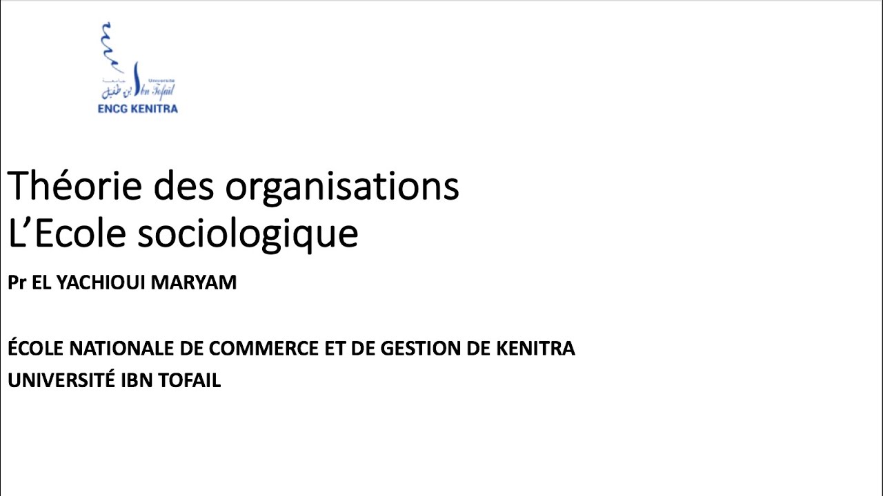 Théorie des organisations : école sociologique