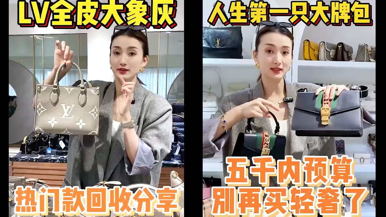 【轻奢说】奢侈品包包～LV全皮大象灰回收&五千预算的奢侈品#Dior #包包推荐 #奢侈品包包 #Luxury #bags #Chanel #gucci #carryall #LV #奢侈品 #包包