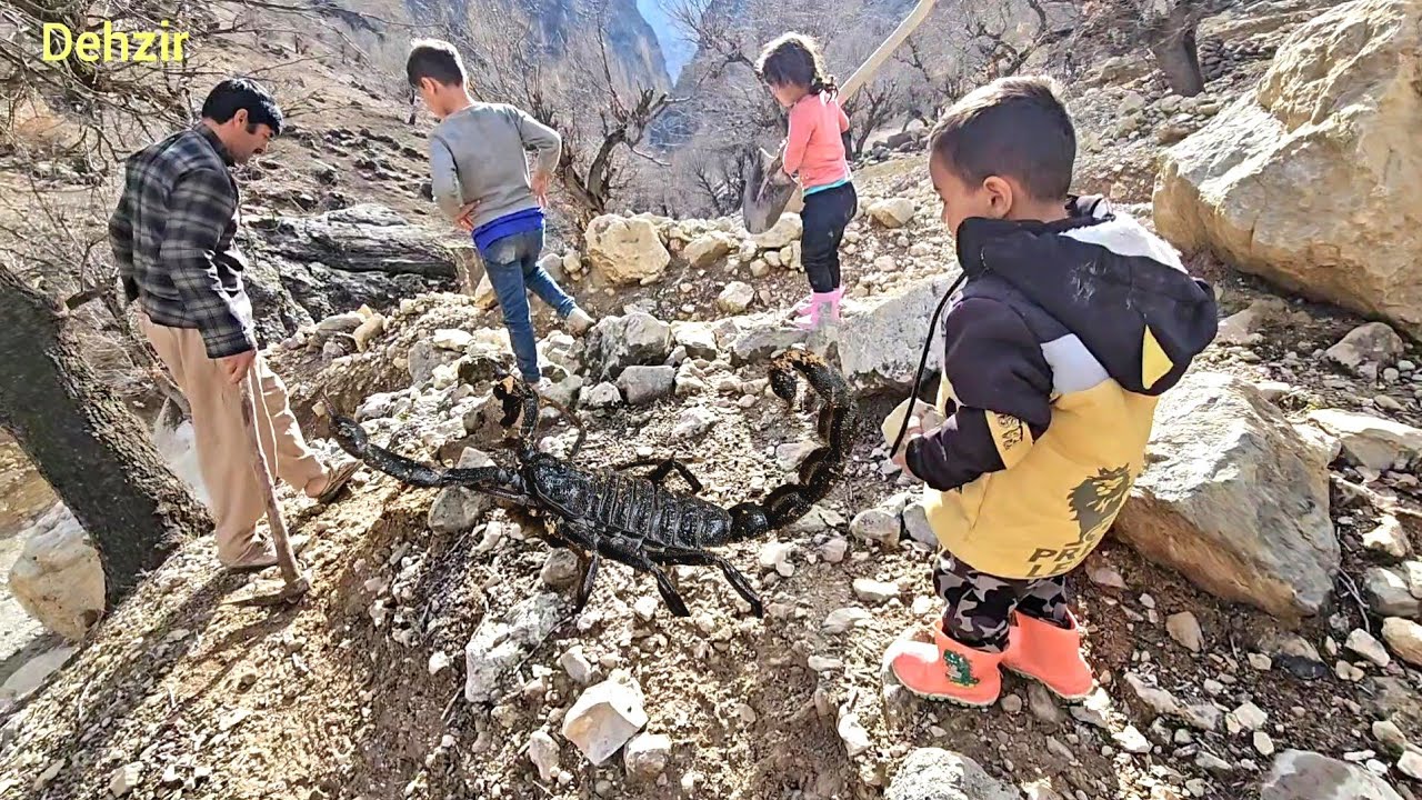 Family cooperation to build a road for Hussein's journey to school and to build a big bonfire