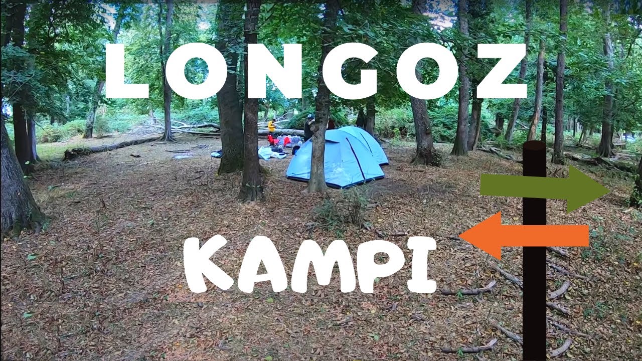 İĞNEADA LONGOZ KAMPI- ORMAN ORTASI SESSİZLİK