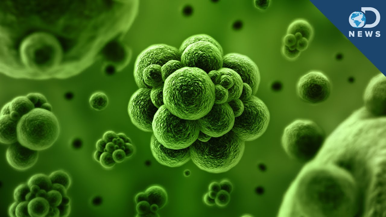 Know Your Gut: uBiome Sequences Human Bacteria