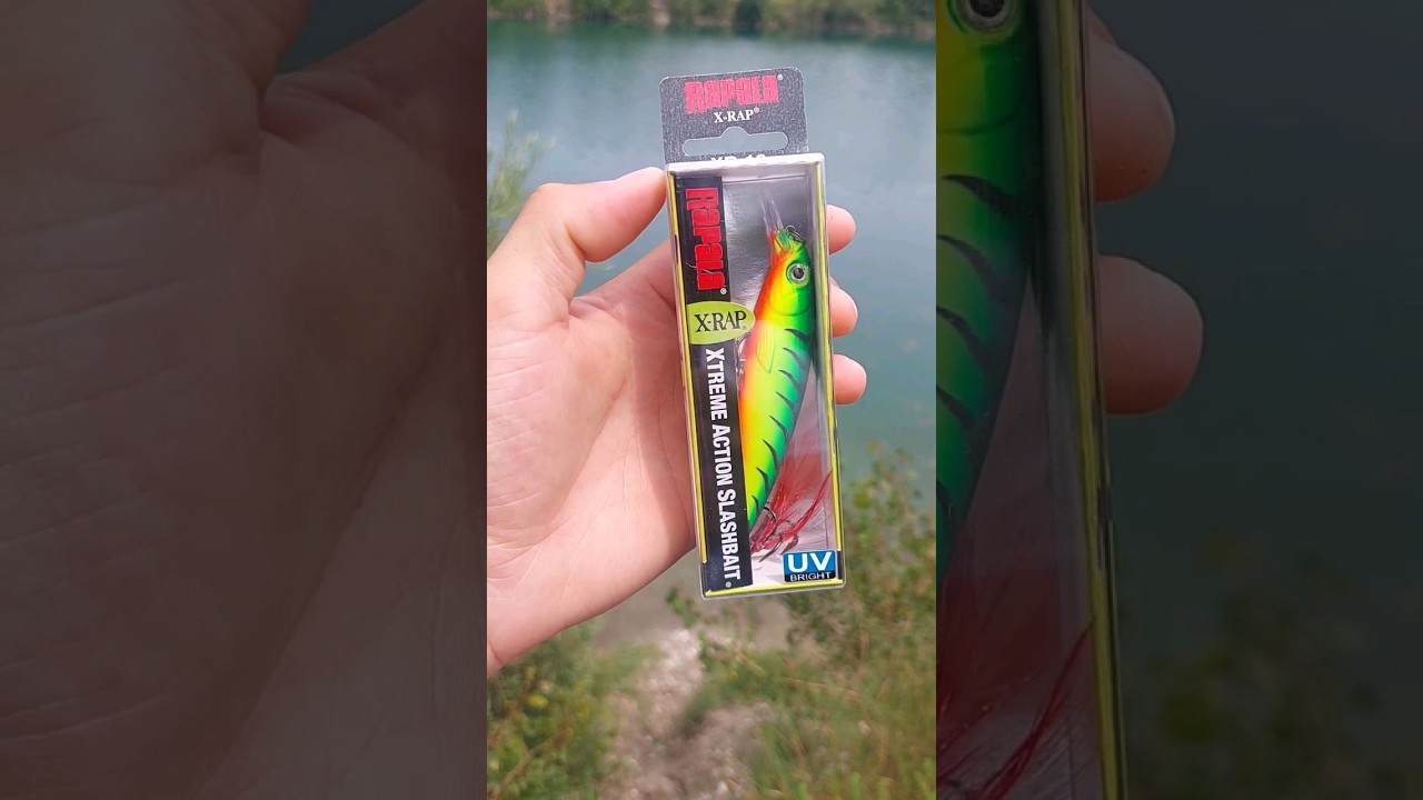 Rapala X-Rap🔥🎣 #fishing #lurefishing #lure #lures #crazy #pesca&nbsp; #fishingvideo #shorts #fish #rapala