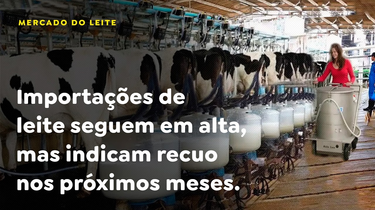 Importações de leite seguem em alta, mas indicam recuo nos próximos meses.
