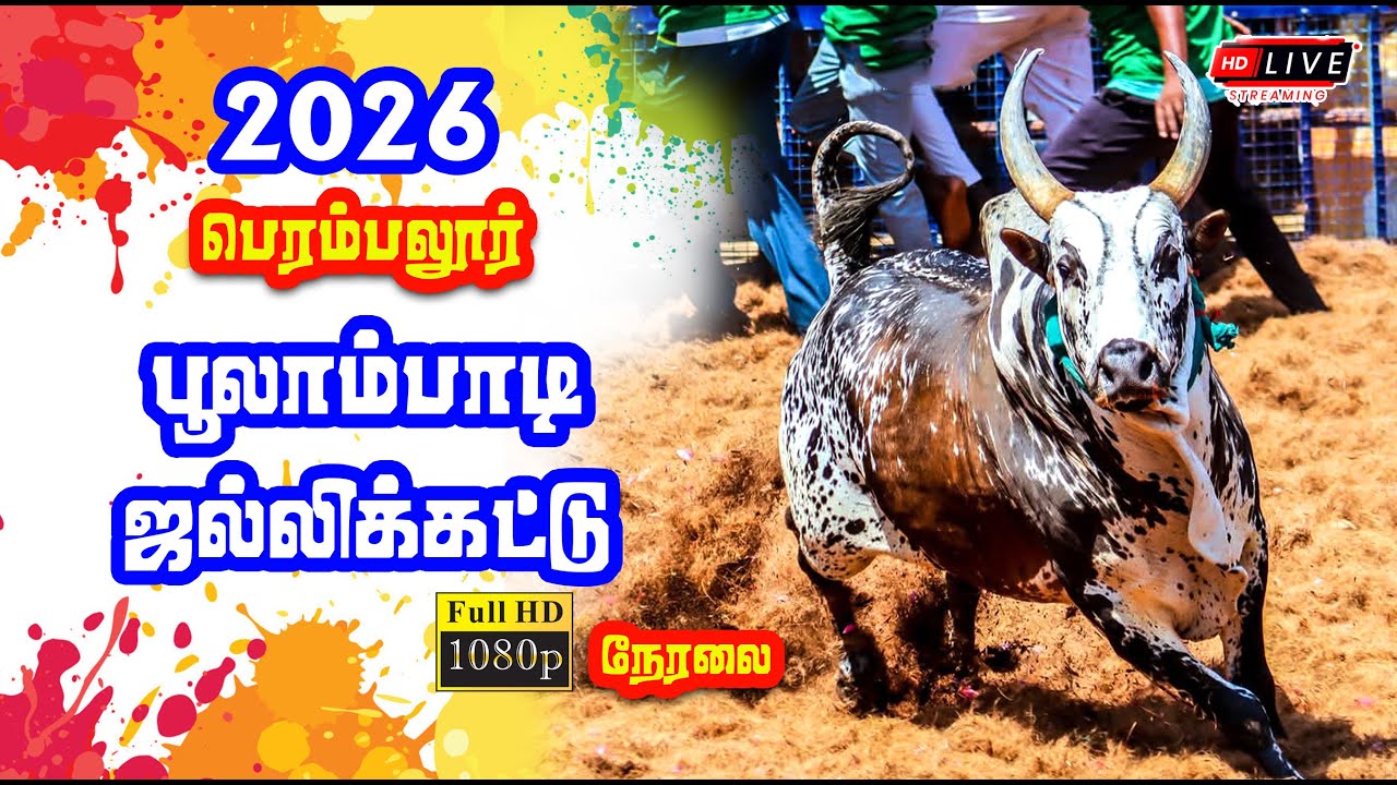 🔴 Live | பூலாம்பாடி ஜல்லிக்கட்டு நேரலை பெரம்பலூர் பூலாம்பாடி Perambalur - Poolambadi Jallikattu Live