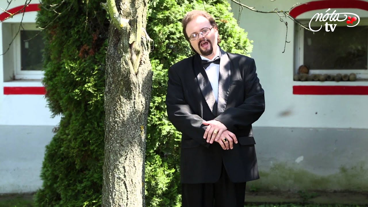 Gáti Pál - A régi ház körül