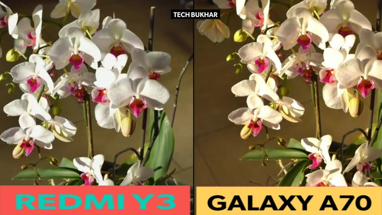 Redmi Y3 vs Galaxy A70 Camera comparison ||A70 vs Y3 camera test|#redmiy3, #galaxya70, #TECHBUKHAR