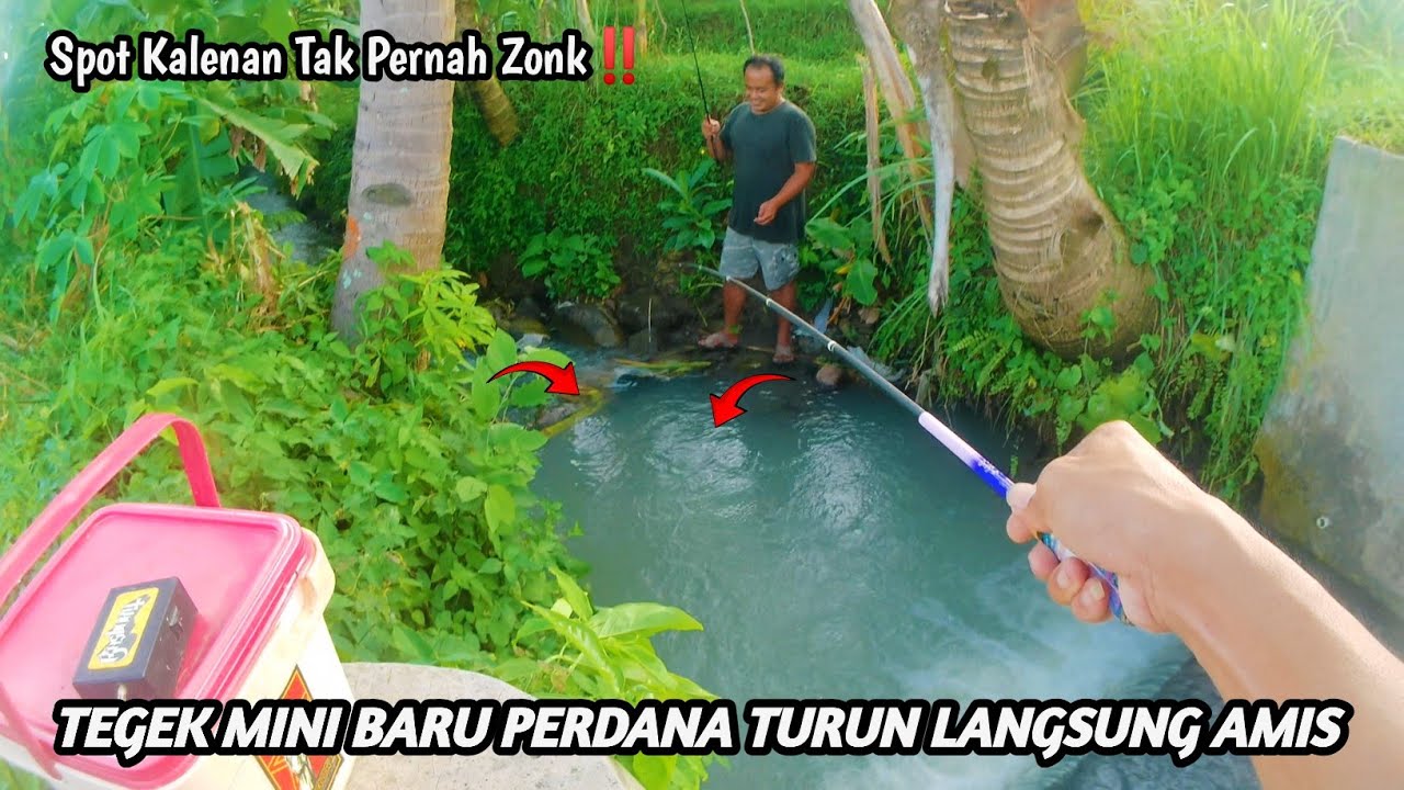 SPOT KALENAN‼️AIR BESAR IKAN LAPAR || Mancing wader teknik kumbul pakai tegek guqishi imut | waderan