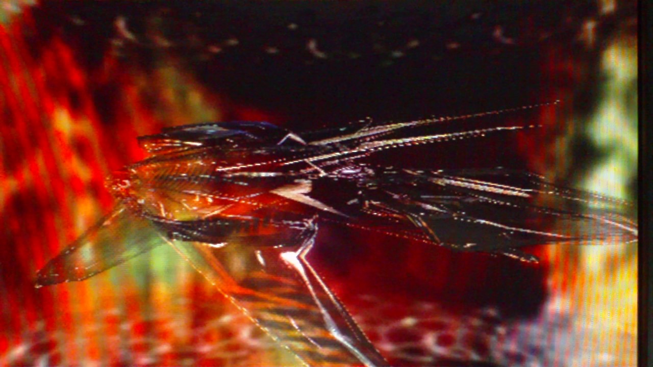 Final Reality - Pentium 133 w/ S3 ViRGE 325 (accelerated)