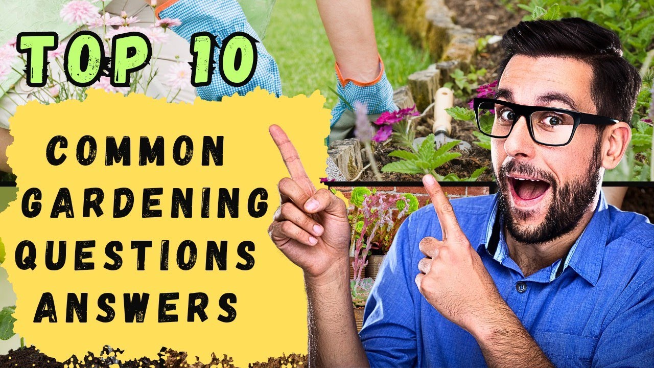 TOP 10 COMMON GARDENING QUESTIONS AND ANSWERS | ANSWERING YOUR GARDENING QUESTIONS