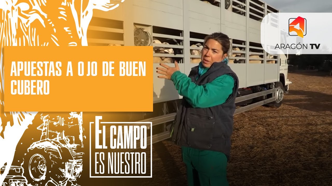 Apuestas a ojo de buen cubero