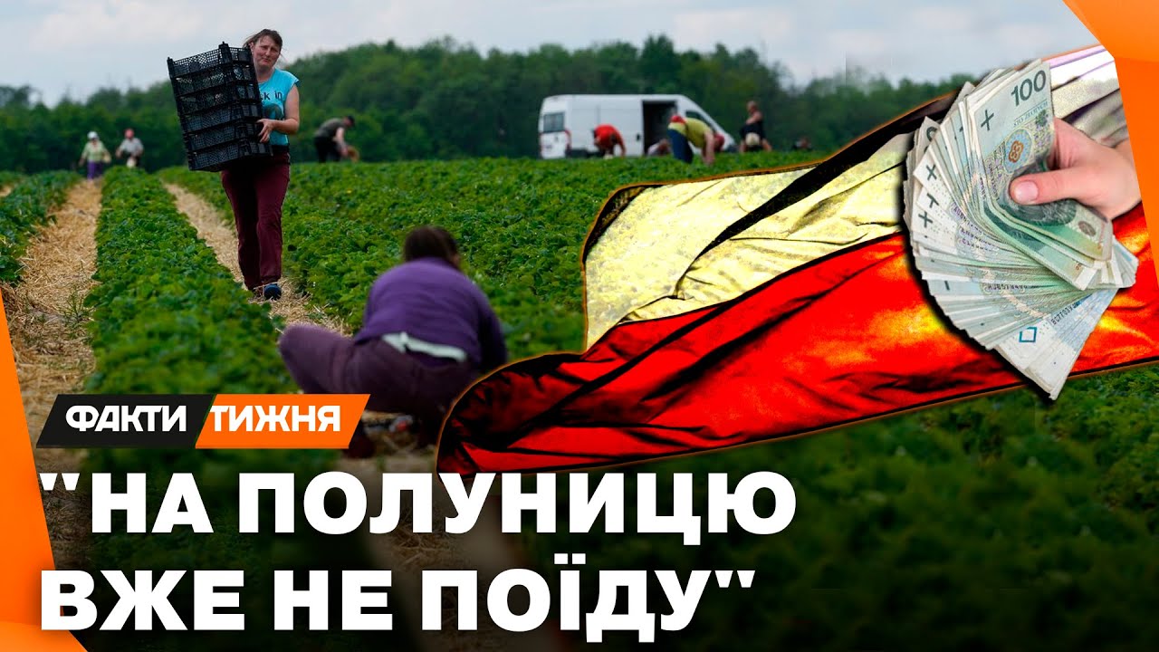 ПОЛЯКІВ ПОСУНУЛИ! Ким зараз працюють УКРАЇНЦІ В ПОЛЬЩІ? Та які ЗАРПЛАТИ отримують?