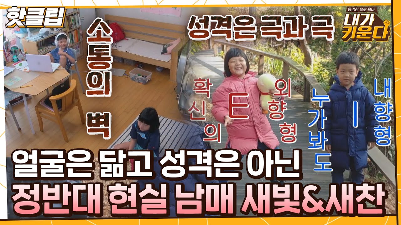 ♨핫클립♨ 얼굴은 닮았지만 성격은 하나도 안 맞는 현실 남매 새빛이와 새찬이｜내가키운다｜JTBC 211020 방송