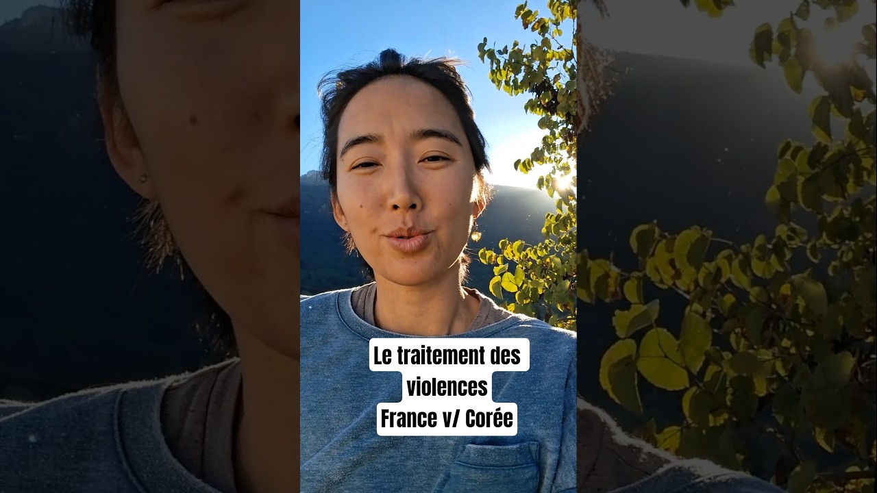 Le traitement des violences en France v/Corée