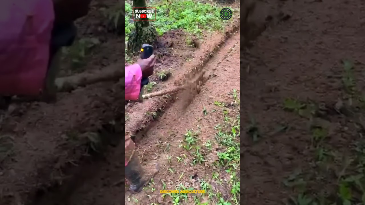 Trench Digging Brushcutter Machine Attachment