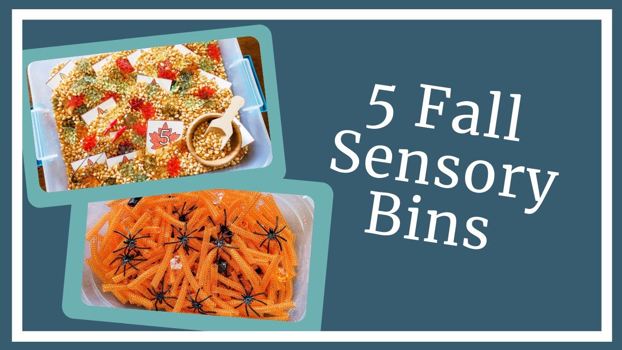 What to Put in Fall Sensory Bins