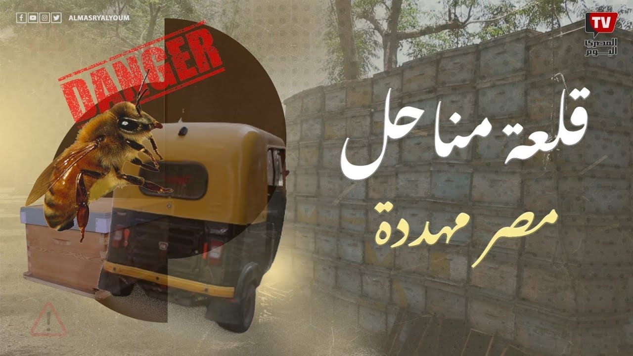 قبل أن يستأذن النحل في الرحيل.. قلعة مناحل مصر مهددة بالفناء