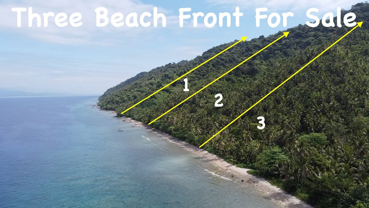 Three Beach Front Properties For Sale