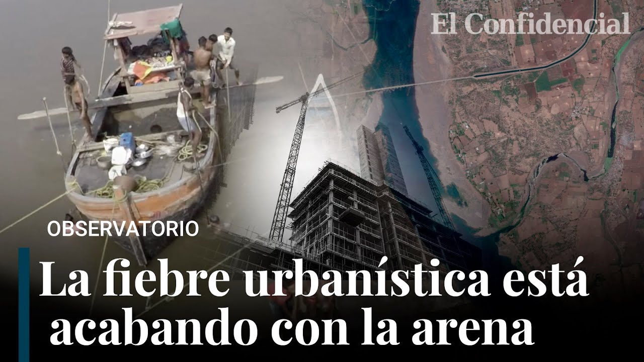 Mafias de la arena: el negocio ilegal más desconocido que devora ecosistemas por todo el mundo