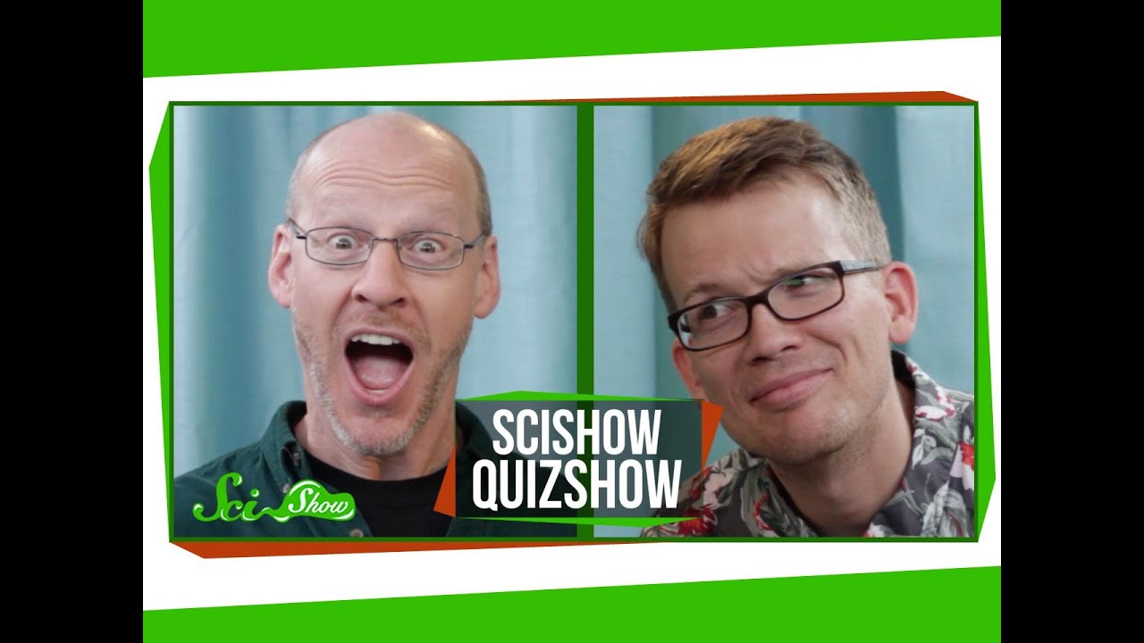 SciShow Quiz Show with Phil Plait: Sperm, Whales, and Sperm Whales