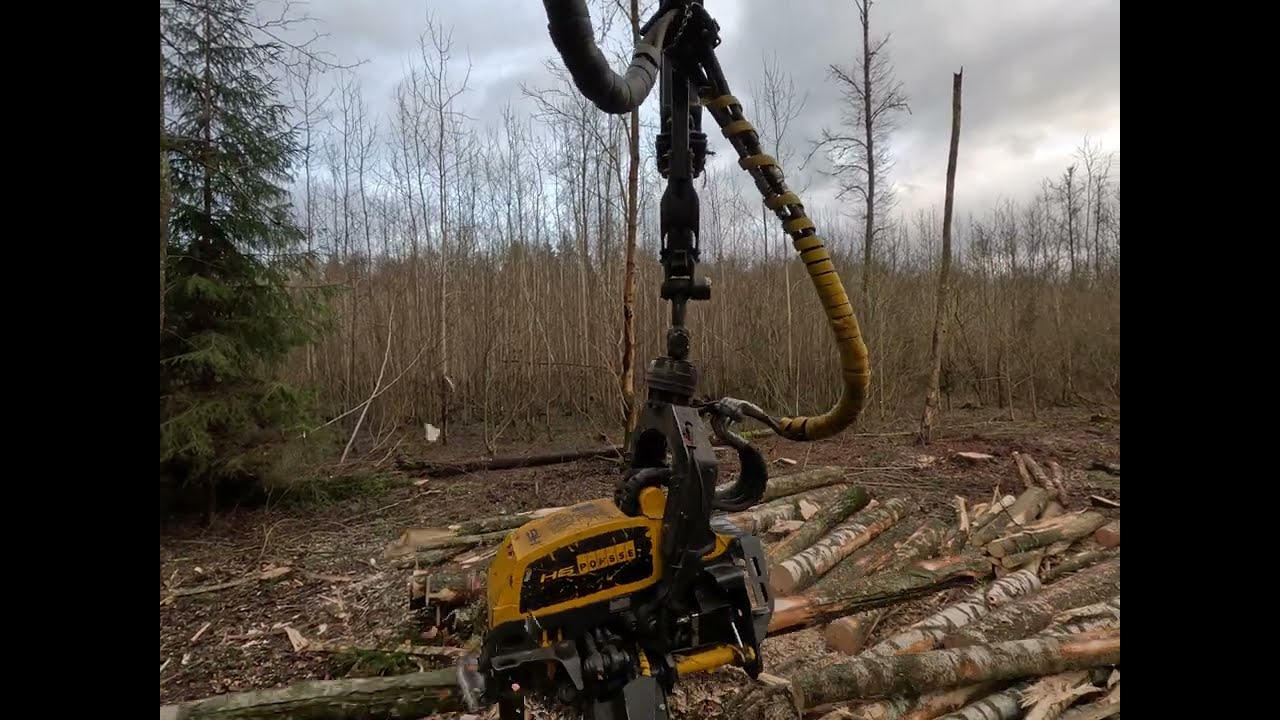 Harvester Ponsse Fox. H6.