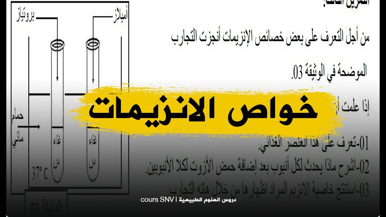 تمرين حول خواص الانزيمات لا تضيع مشاهدته علوم طبيعية الرابعة متوسط