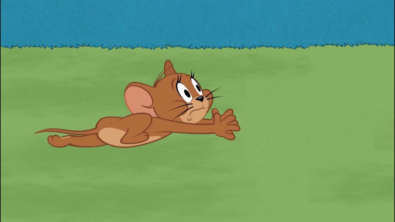 5 minutes of Tom & Jerry chasing each other 😝 | Chase compilation - Boomerang (ch. 302) | DStv