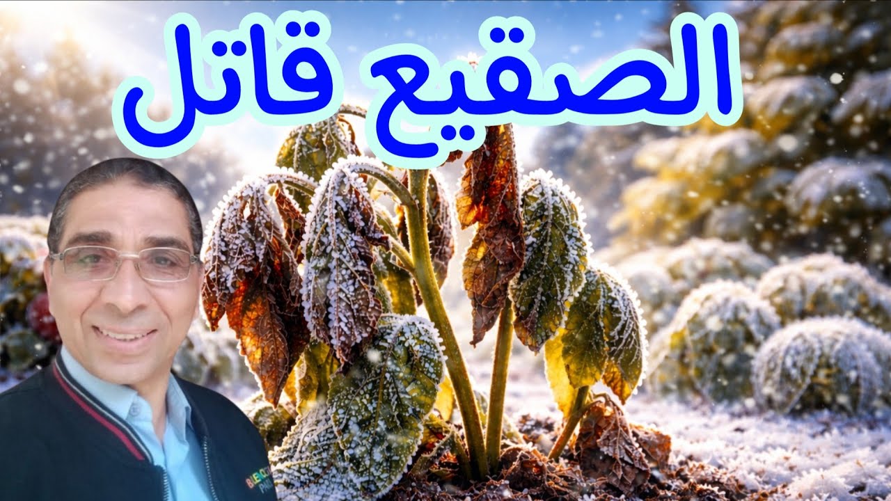 الصقيع يدمّر نباتاتك؟ ❄️ أضرار الصقيع على النباتات وطرق الوقاية