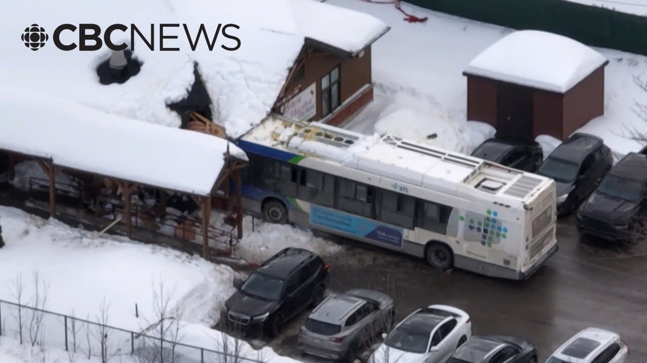 Mental state of driver who crashed bus into daycare in the spotlight during trial