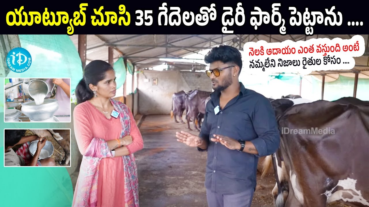 35 Buffaloes Dairy Farm Farmer Success Story || Dairy Farming in 2025 Telugu|| Dairy Farm Investment