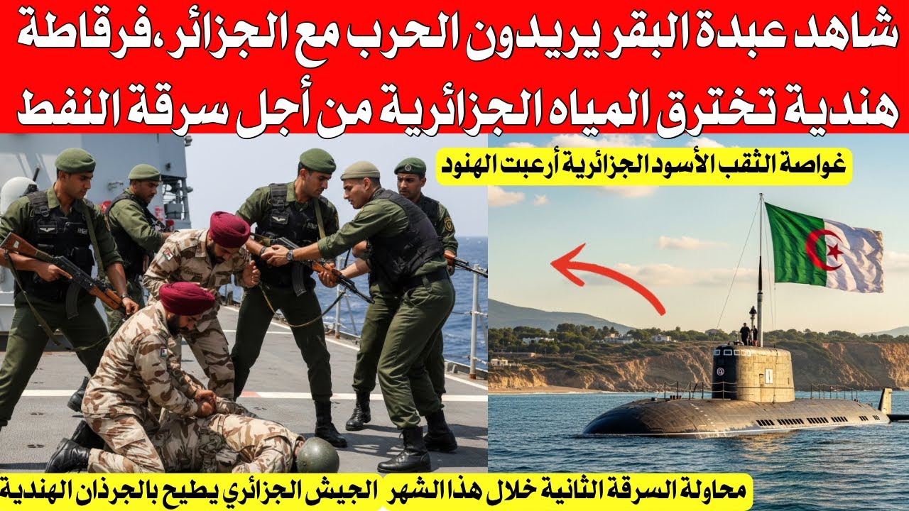 شاهد عبدة البقر يريدون الحر،ب مع الجزائر ، الجيش الوطني يحبط ثاني محاولة هندية لسرقة النفط الجزائري 