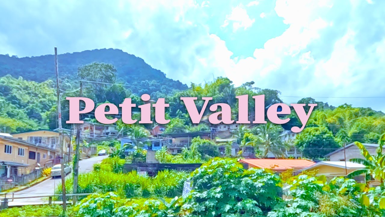 Drive Through Petit Valley, Trinidad | Scenic Views & Local Vibes ☀️