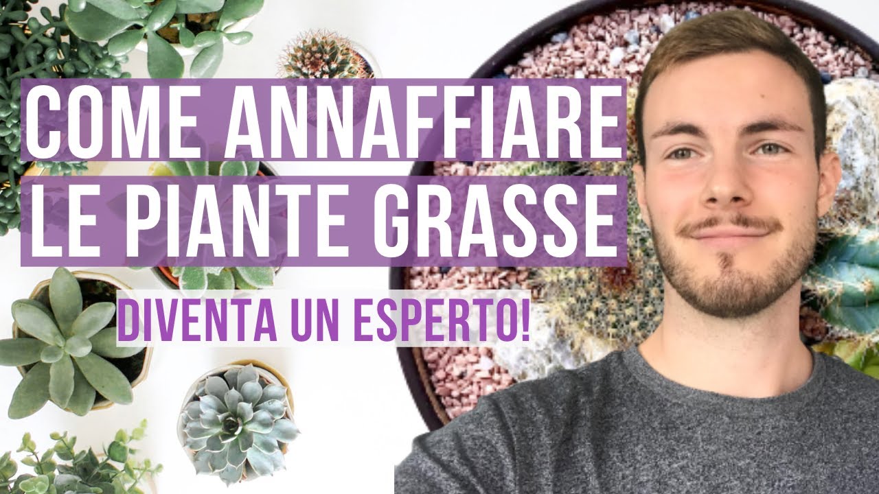 COME ANNAFFIARE LE PIANTE GRASSE - TECNICHE FREQUENZA E CONSIGLI