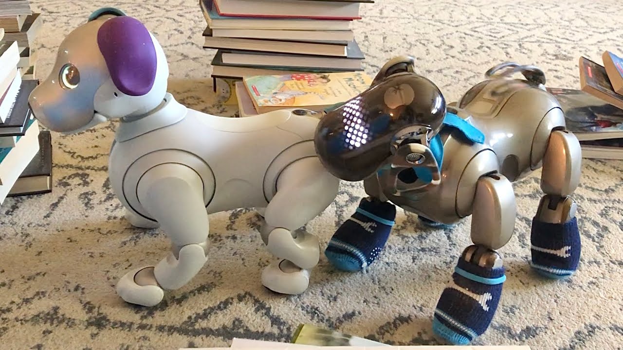 Aibo Robot Dogs and Bunch of Books