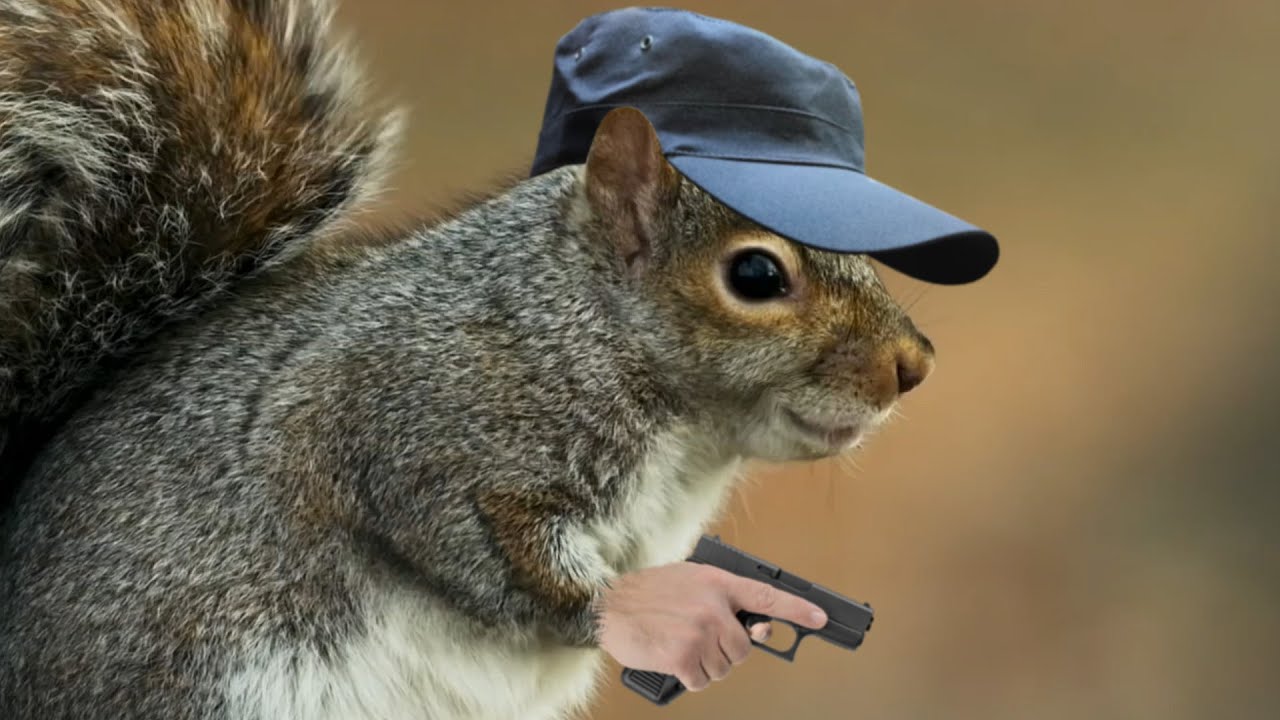 Грязные продажные белки