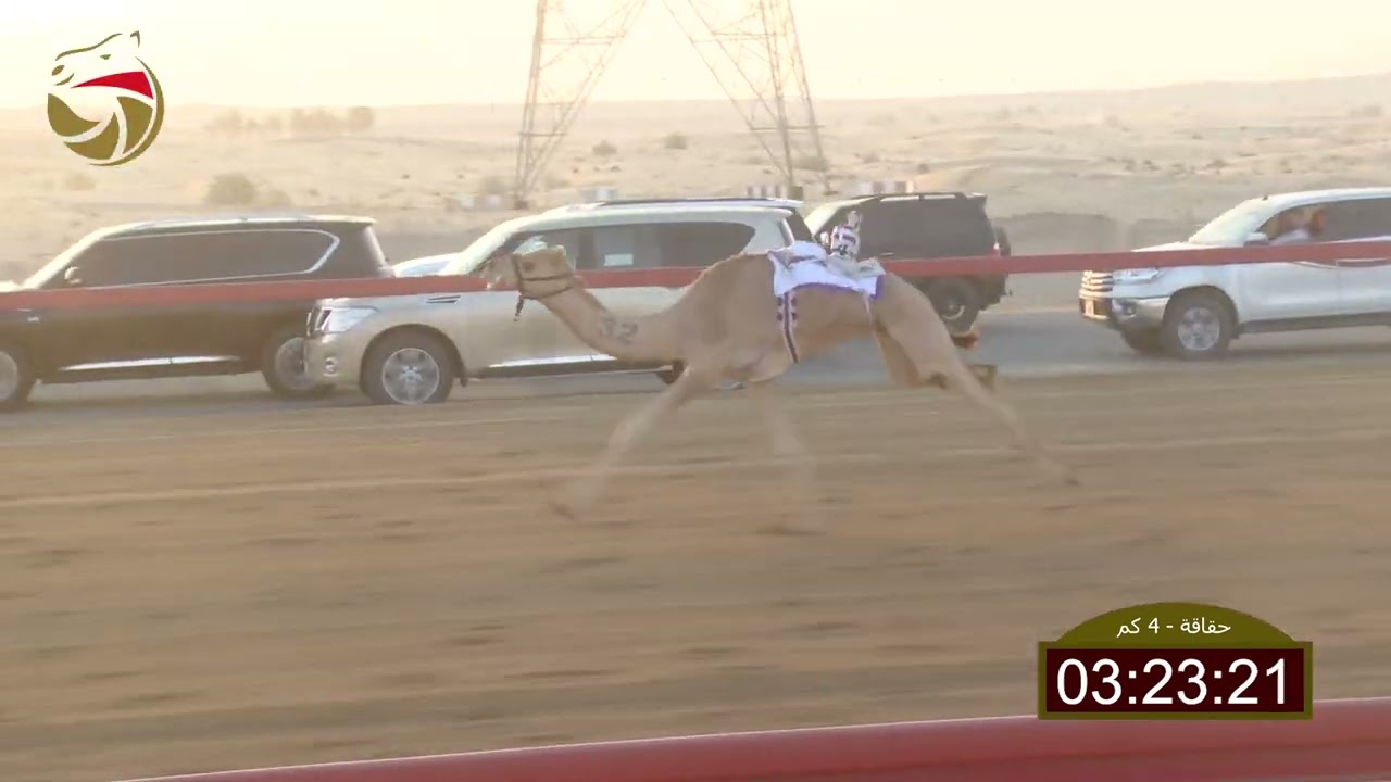 سباق الحقاقة – سيف العرب 30-01-2026 ش4 مصوب لـ حارب جمعه بن صبيح الفلاسي  5:57