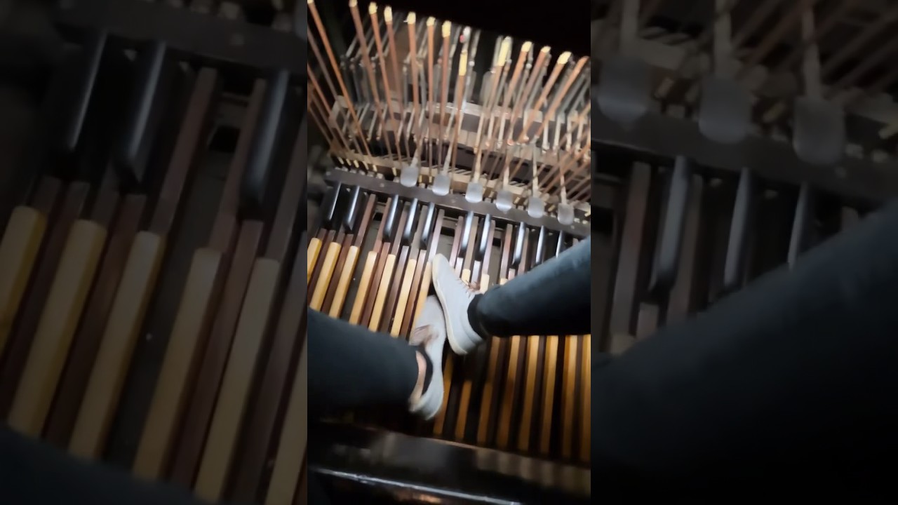 Playing the Organ at St. Patricks Old Cathedral in Manhattan #music #organ #church