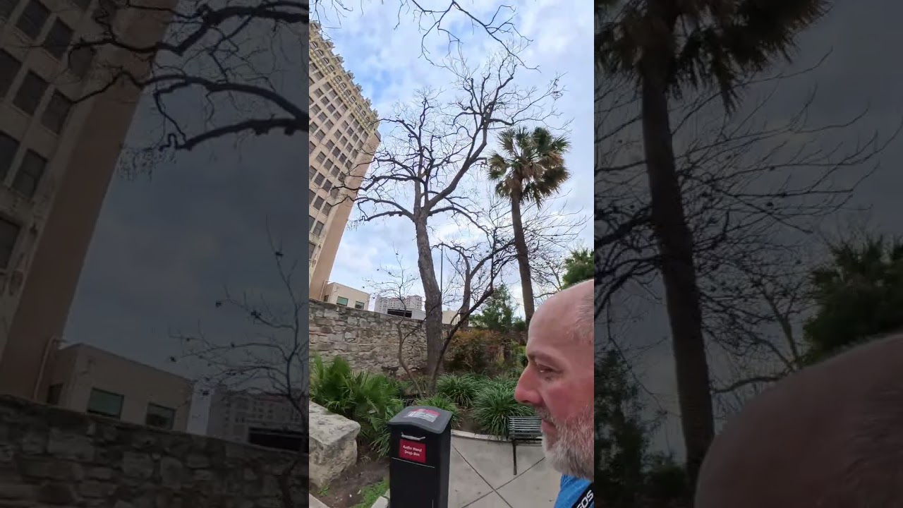 This is what the Alamo looks like in 360°… like you’re actually standing there 👀