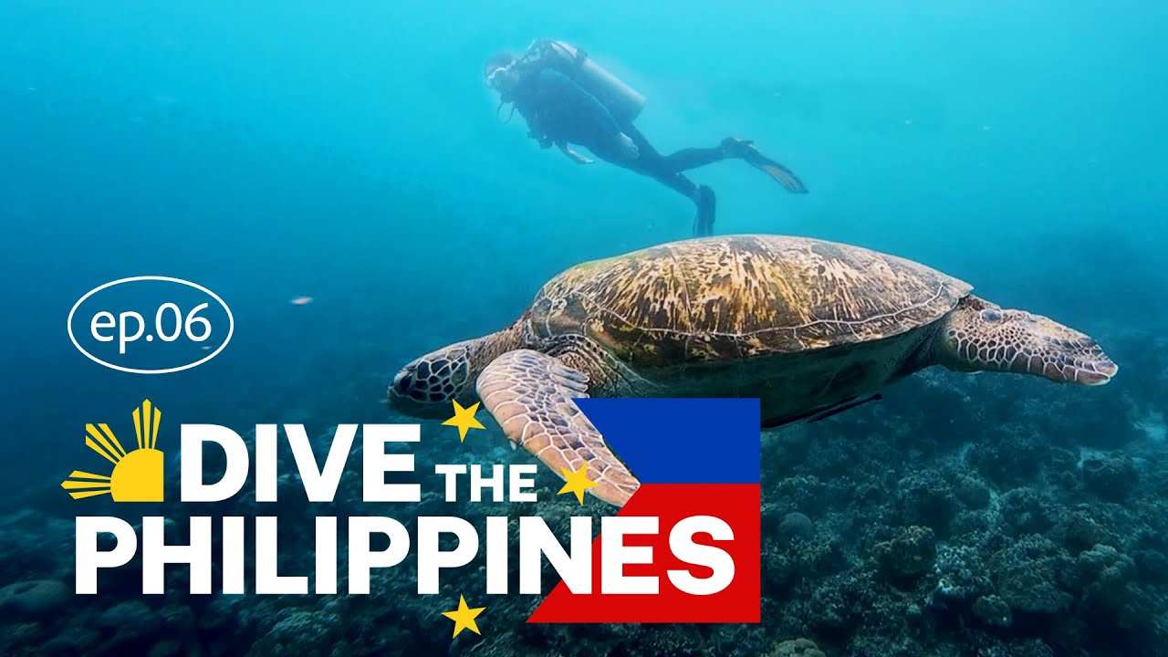 Dive the Philippines: Scuba Diving with the Turtle Bay Dive Resort