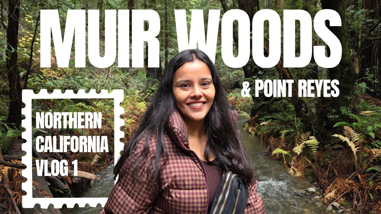 Northern California Road Trip Guide: PCH, Muir Woods & Mendocino