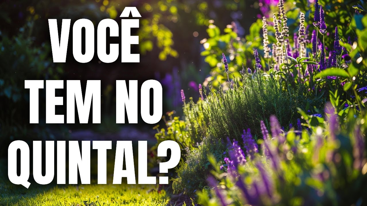 Horta Medicinal: As 5 Plantas Ancestrais Que Curam Ansiedade e Dor