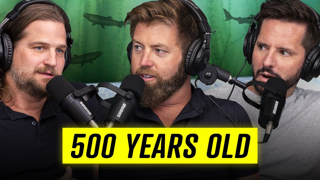 What Makes These Sharks Live for Hundreds of Year? - TWT 154