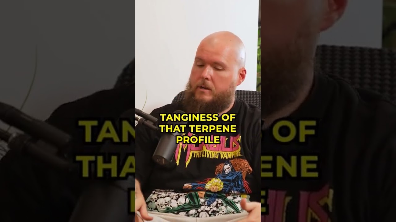 TED OF ALIEN LABS x FSOTD EP 63 #alienlabs #fsotd #patreon #shorts #firstsmokeoftheday