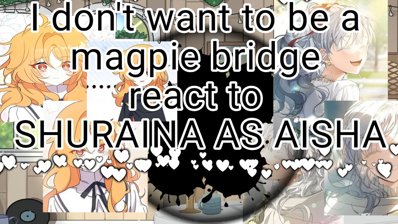 I DON'T WANT TO BE A MAGPIE BRIDGE REACT TO SHURAINA AS AISHA [1/2]