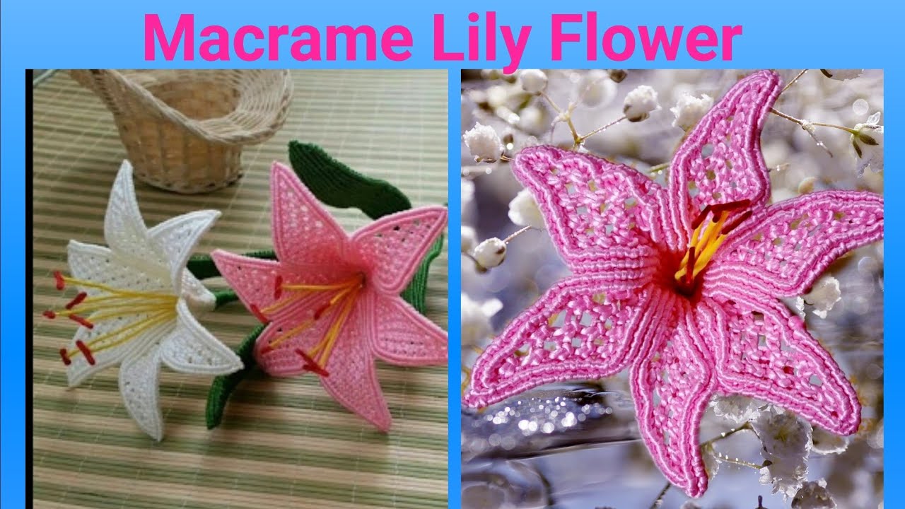 How To Make Macrame  Lily  Flower/ Flowers Fom Macrame / DIY Easy
