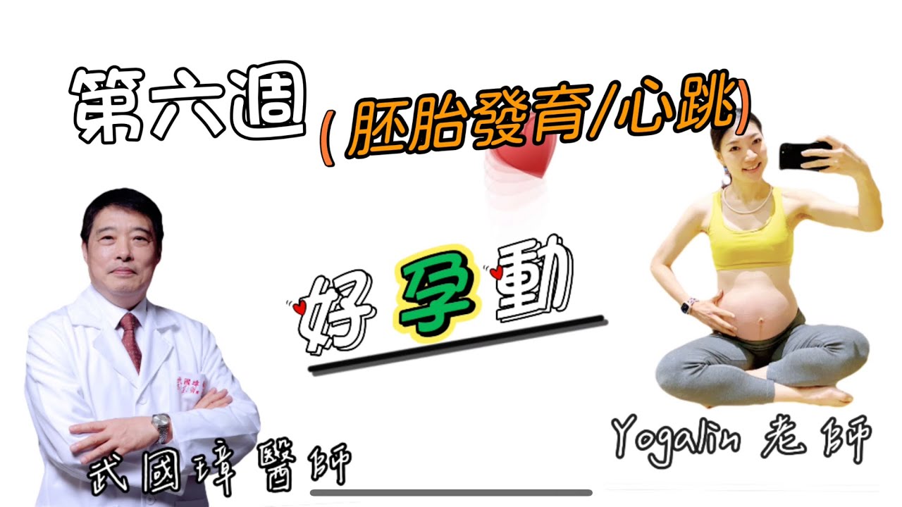 懷孕第6週：胚胎發育 胎心音 沒心跳怎麼辦？