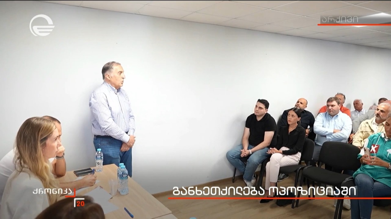 განხეთქილება ოპოზიციაში