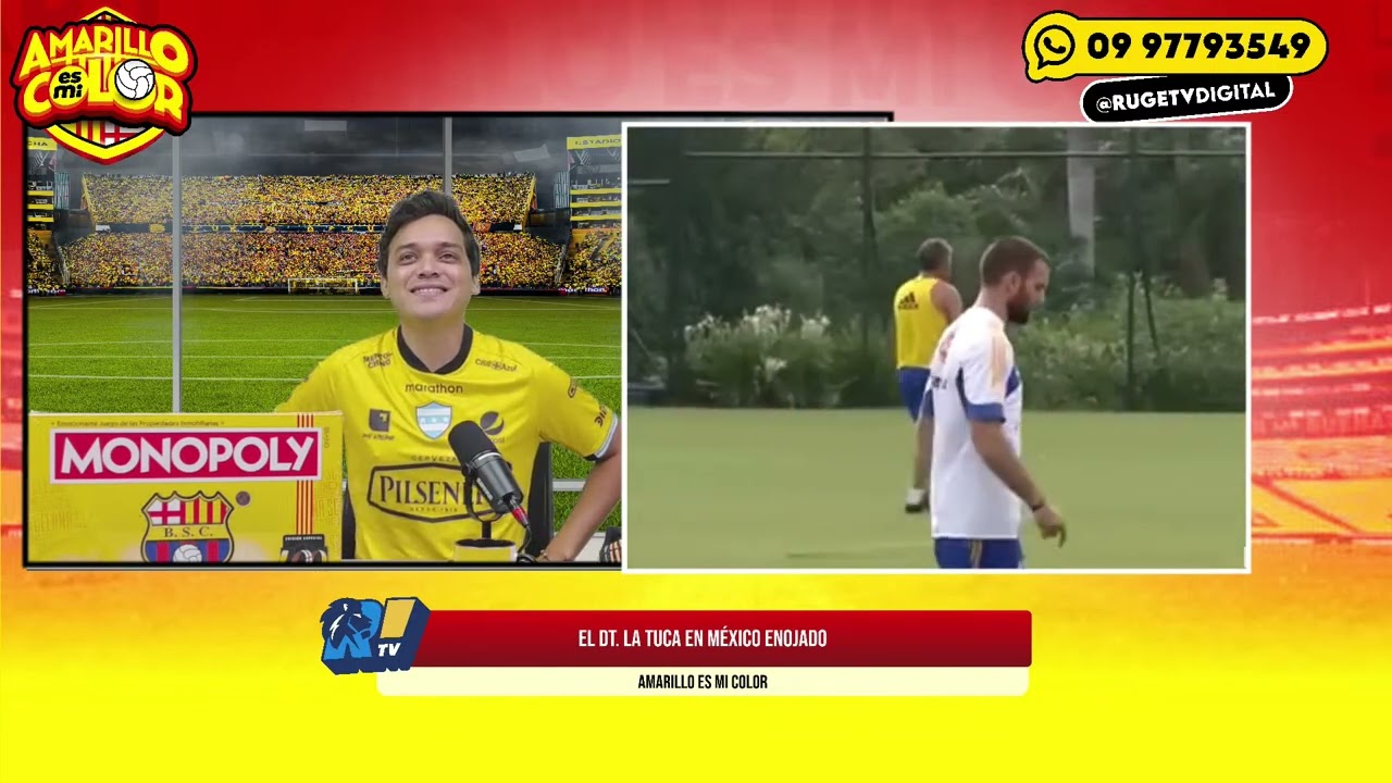 CLIPS: AMARILLO ES MI COLOR 🟡 FARÍAS VS EL TUCA FERRETTI