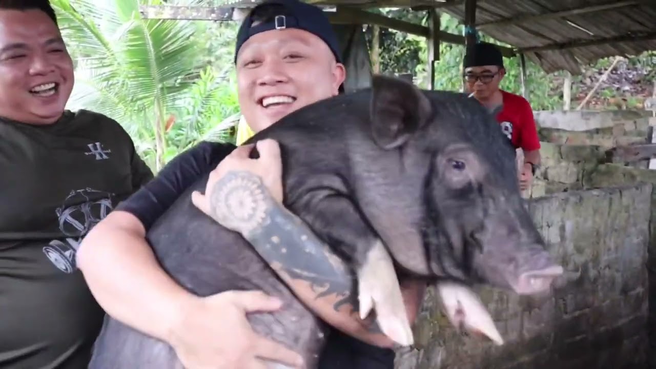 Tangkap Babi Bersama Keluarga Dayak Di Rumah Panjang Patrick Andin,Sebauh Bintulu.