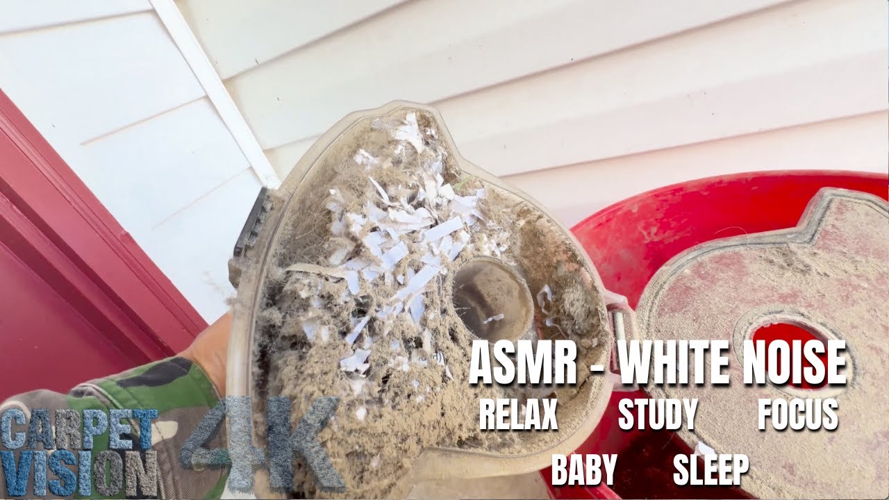 ASMR Carpet Cleaning | Deep Soil + Pet Dander 😮‍💨 (Sleep Now)