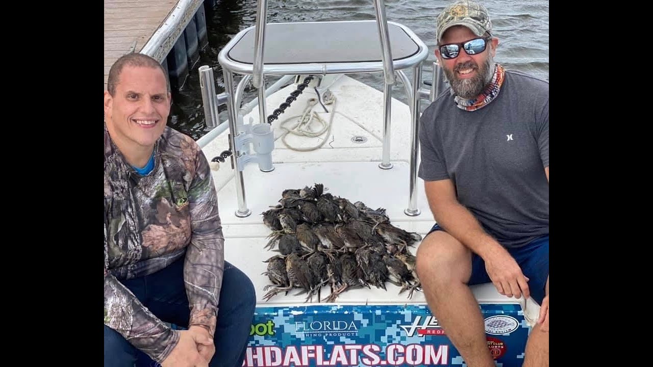 NE Florida Marsh Hen Hunt